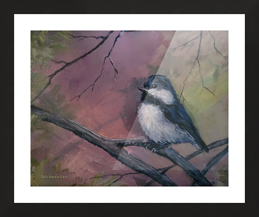 Perched  Picture Frame print