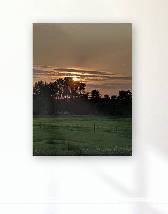  Sunset On The Farm by Lynn Buckmaster