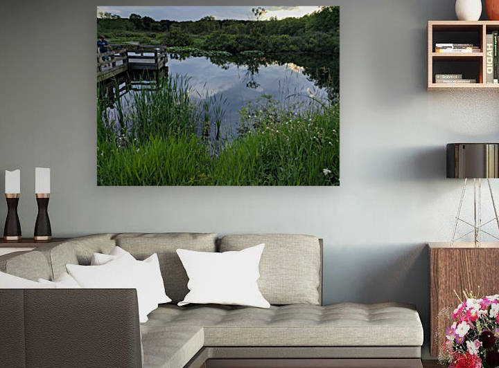 Time To Reflect  by Lynn Buckmaster