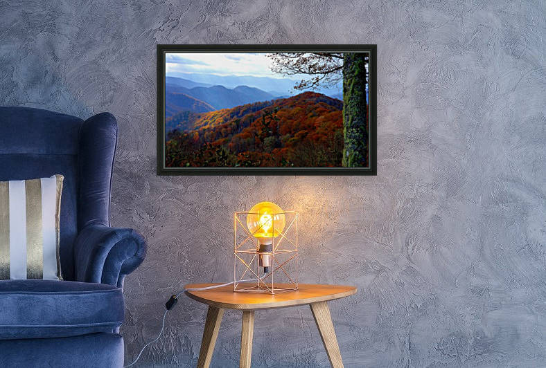Spotlight enhanced by Lynn Buckmaster