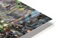 Emerald Forrest HD Metal print