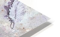 Fleeting Feather HD Metal print