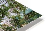 Standing Tall HD Metal print