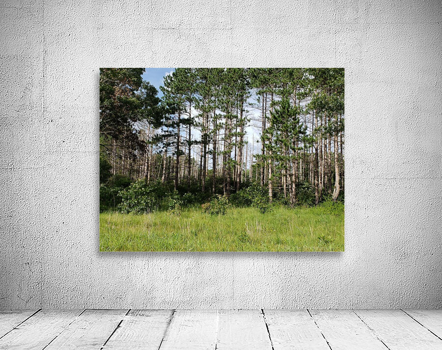 Standing Tall Wall Preview