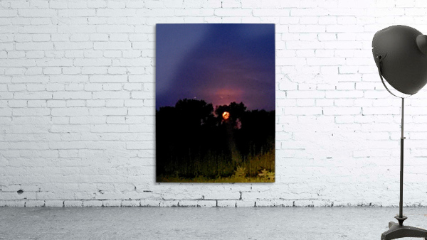 Hide n Seek Wall Preview