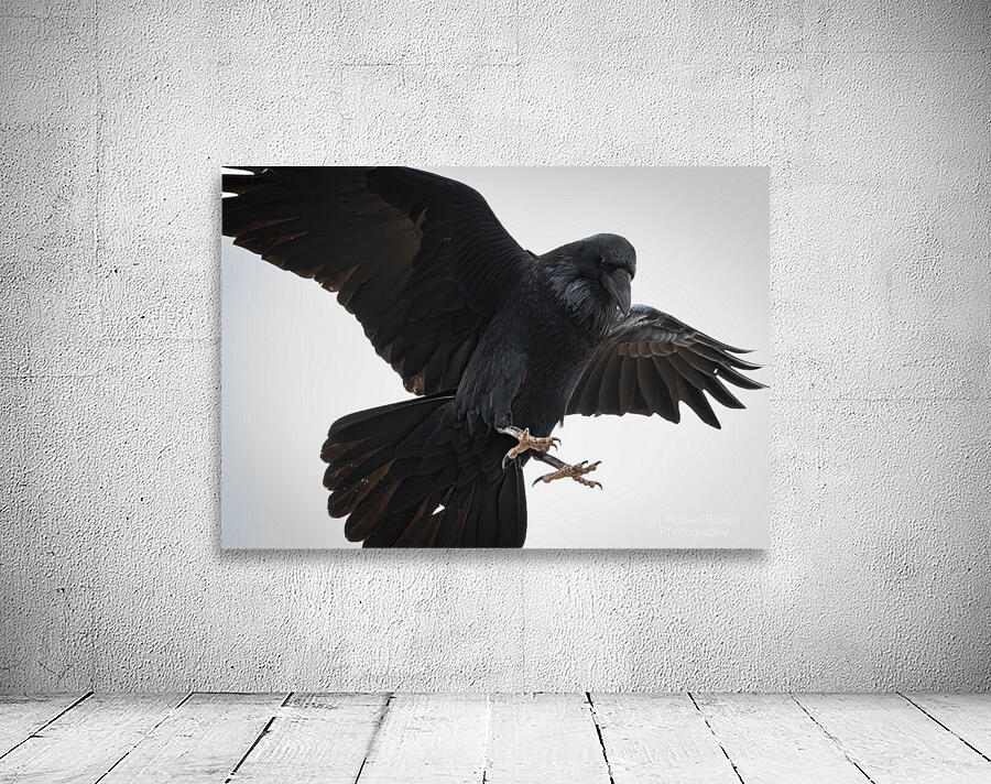The Raven III Wall Preview