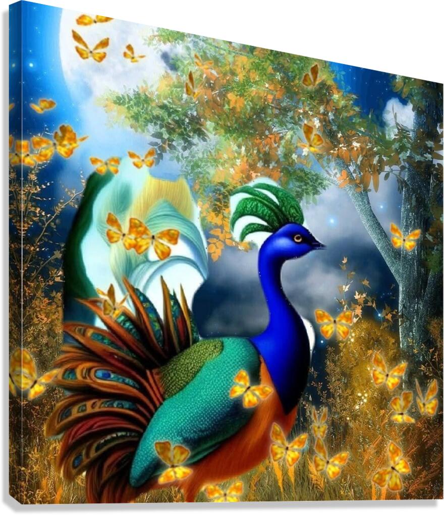 Radiant Peacock