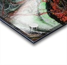 Red Green Acrylic print