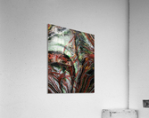 Red Green Acrylic Print
