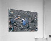 Boston Shells Acrylic Print