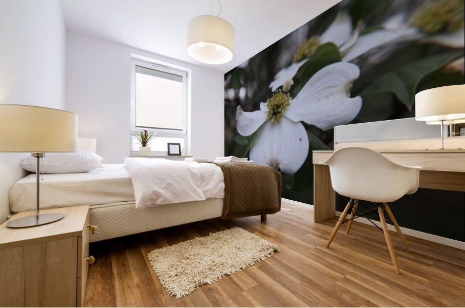 Dogwood Mural print