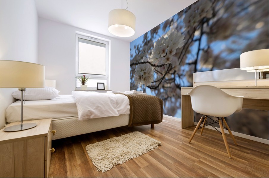 Cherry Blossoms Mural print