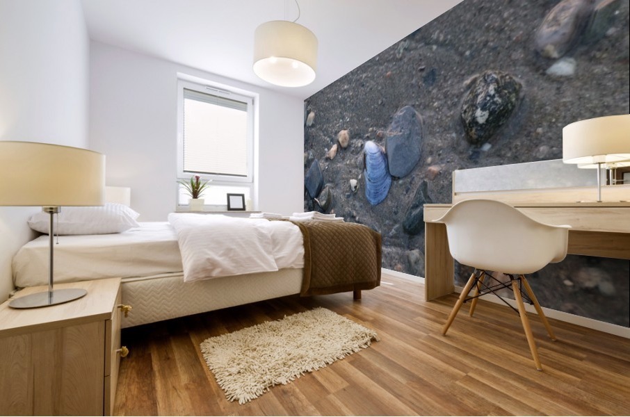 Boston Shells Mural print