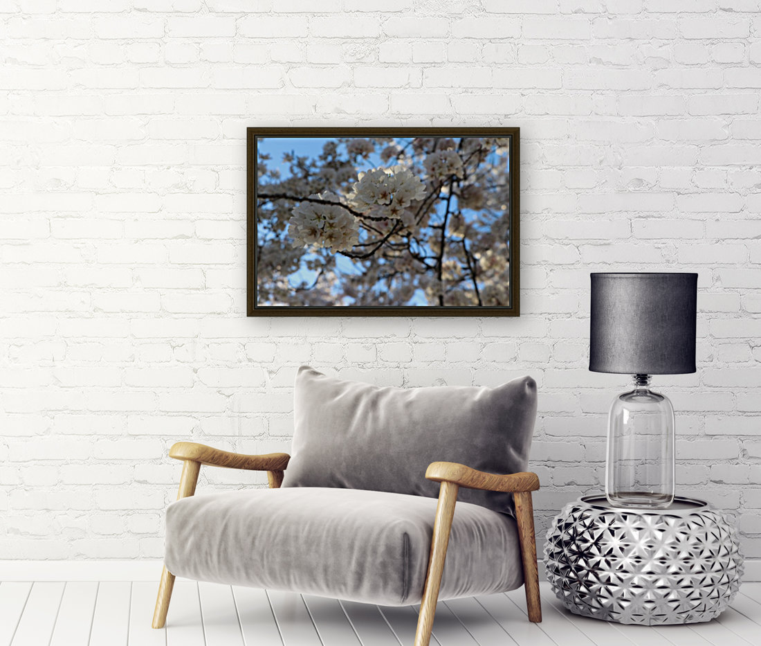 Cherry Blossoms Reproduction