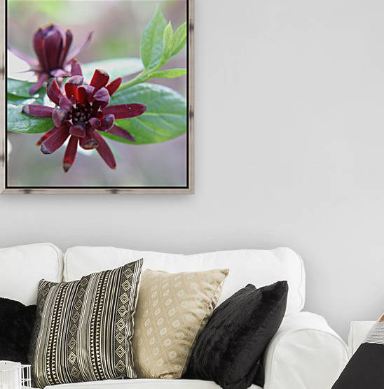 Spice Bush Bloom by Deb Striker