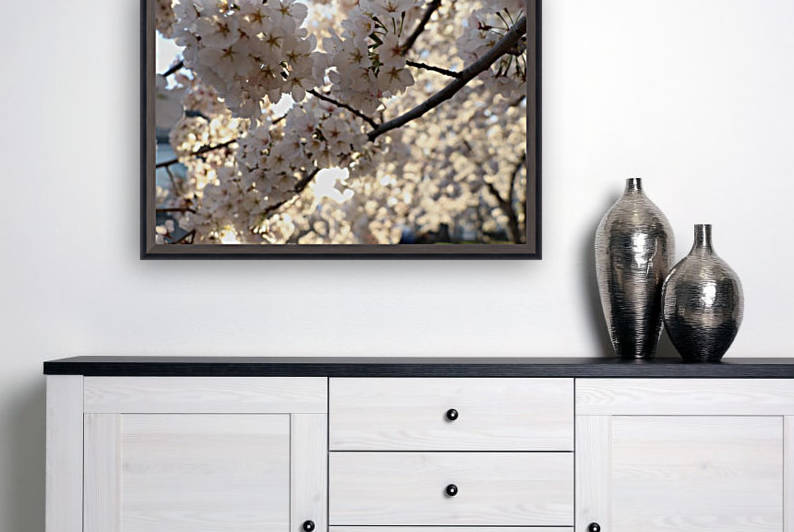 Sunburst Cherry Blossoms by Deb Striker
