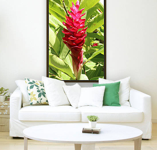 Carribean Beauty by Deb Striker
