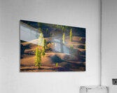 Painted Dunes Acrylic Print