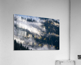Washington Acrylic Print
