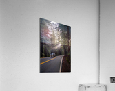 Vanlife Acrylic Print