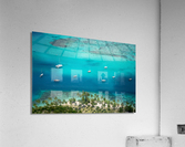 Tropical Paradise Acrylic Print