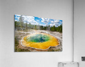 Morning Glory Pool Acrylic Print