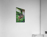 Deer Acrylic Print