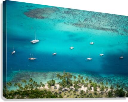 Tropical Paradise Canvas Print