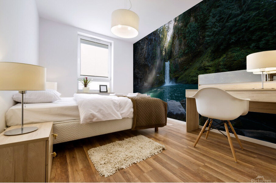Toketee Falls Mural print