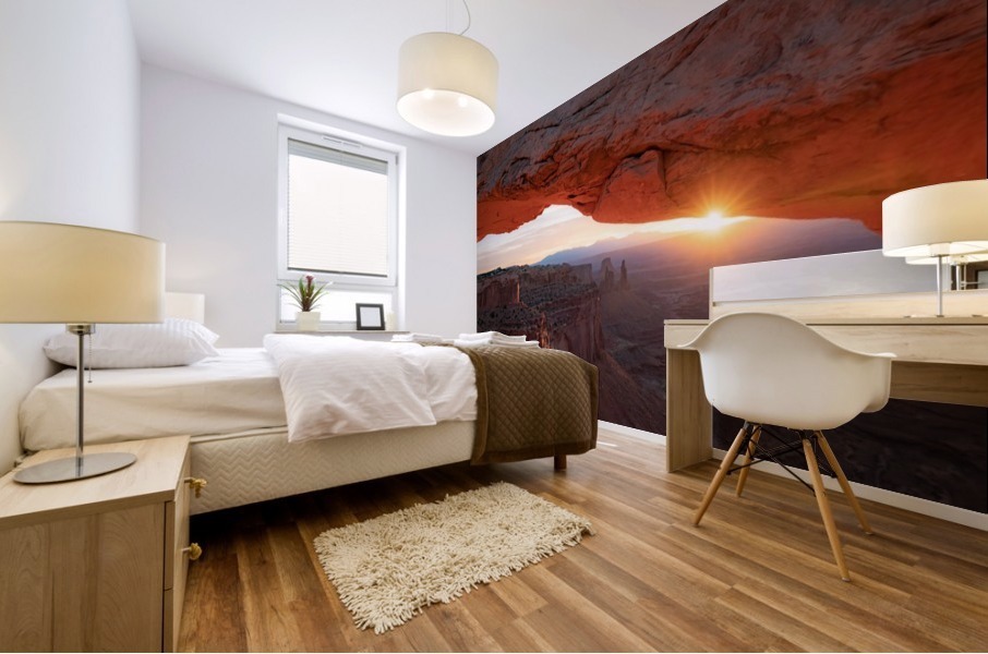 Mesa Arch Mural print