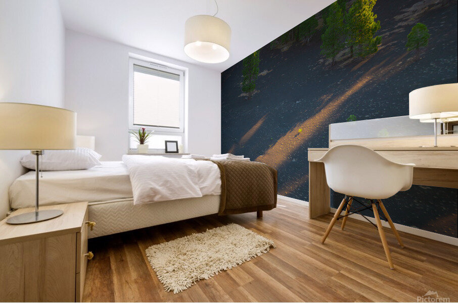 Lassen Mural print