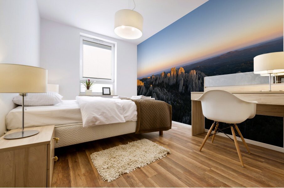 The Needles Mural print