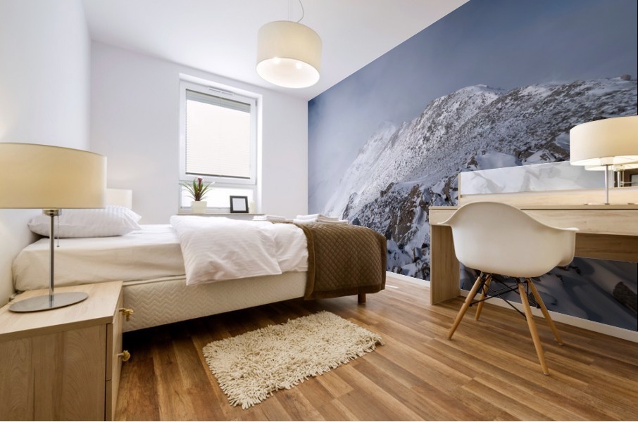 Mt. Massive Mural print