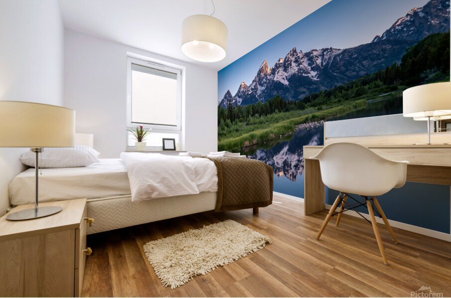 Tetons Mural print