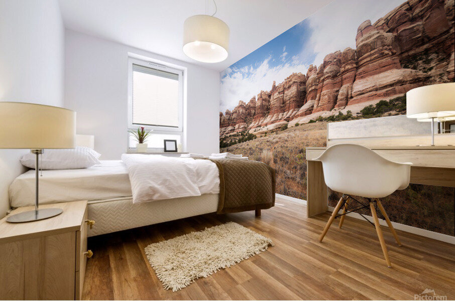 The Needles Mural print