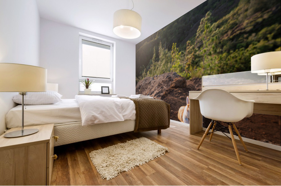 Mountain Corgi Mural print