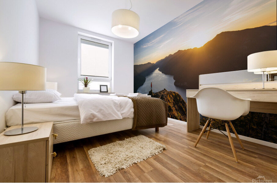 Olympics Mural print