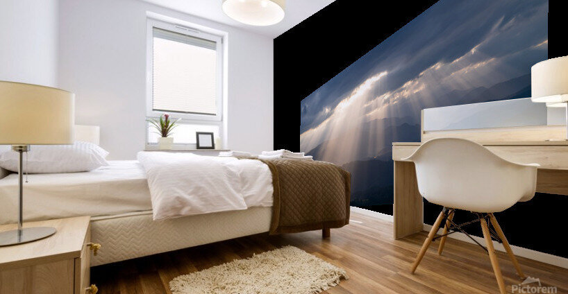Light Rays in Washington Mural print
