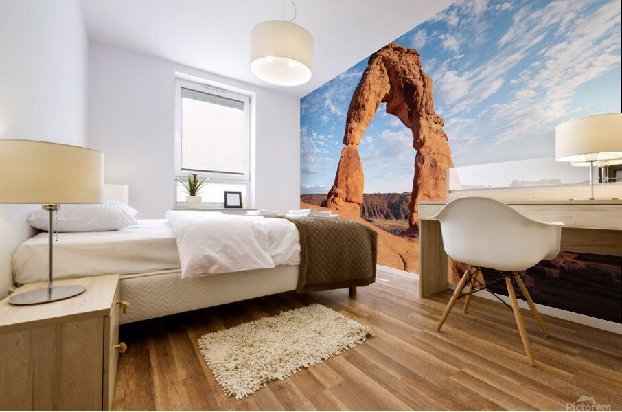 Delicate Arch Mural print