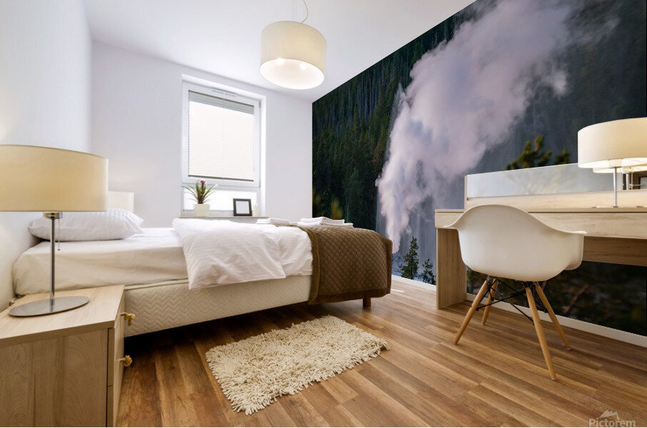 Beehive Geyser Mural print