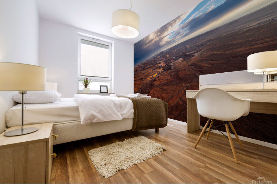Canyonlands Mural print