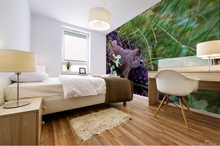 Chipmunk Mural print