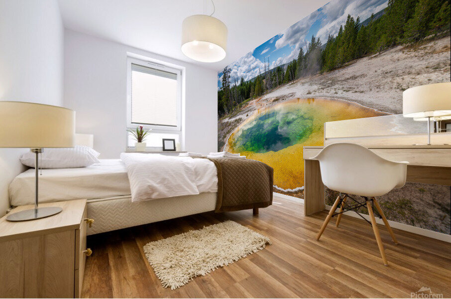 Morning Glory Pool Mural print