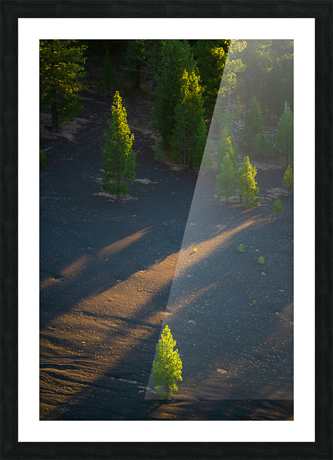 Lassen Picture Frame print