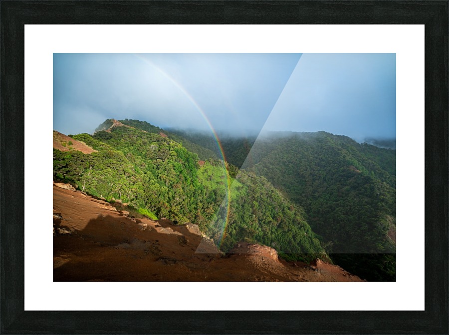 Honopu Picture Frame print