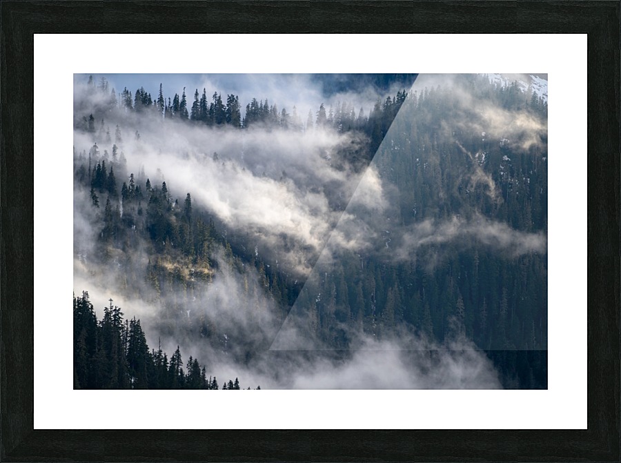 Washington Picture Frame print