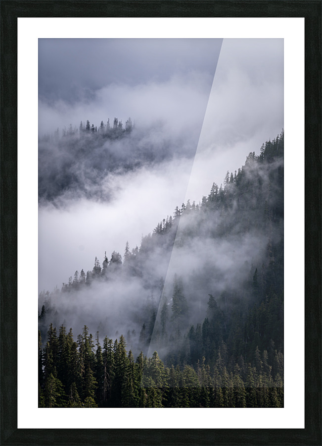 Cascades  Picture Frame print