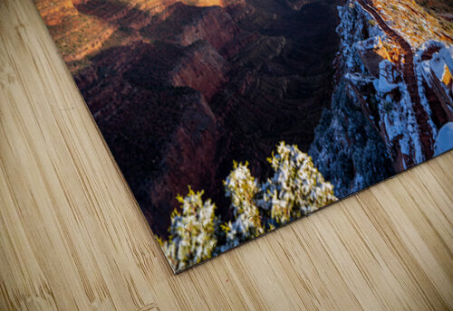 Ooh Aah Point Noah Lang puzzle