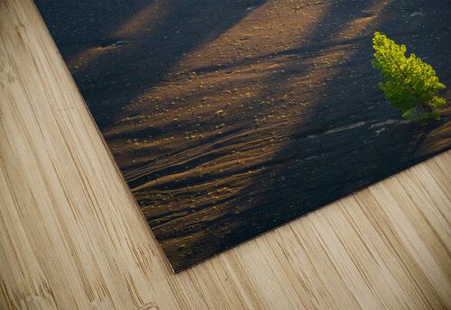 Lassen Noah Lang puzzle