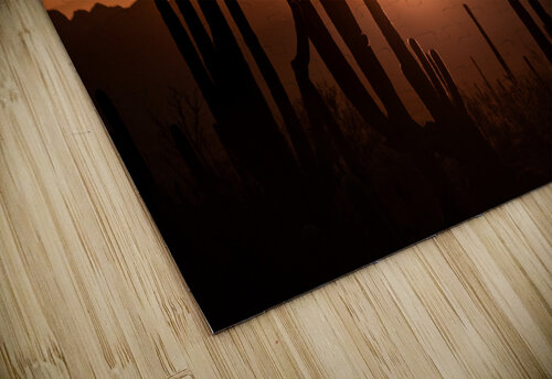 Saguaro Noah Lang puzzle
